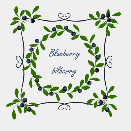 Vector background with branches, berries and leaves blueberry.のイラスト素材
