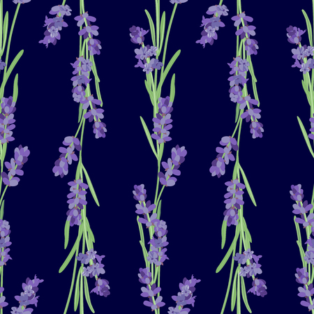Seamless pattern with lavender flowers.のイラスト素材