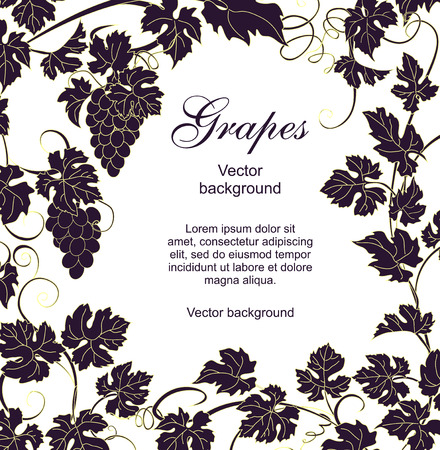Vector background with vines in vintage style.のイラスト素材