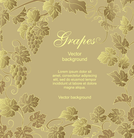 Vector background with vines in vintage style.のイラスト素材