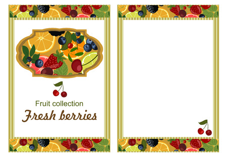 Background with berries and citrus.のイラスト素材