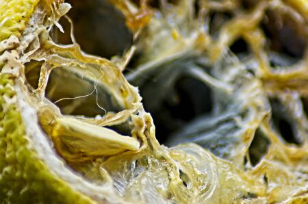 Rotten half lemon macrophotography on black background