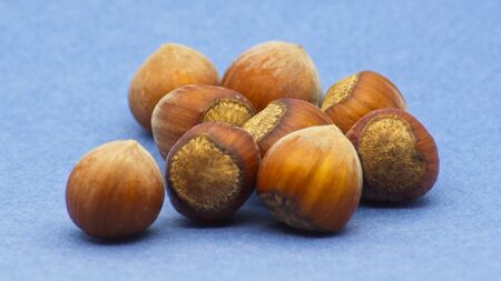 Heap of fresh hazelnuts on light blue background with soft defocus