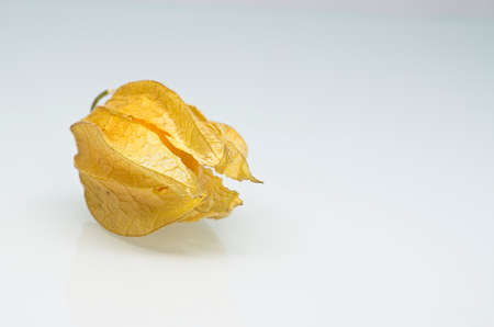 Fresh physalis fruit on white background. Healthy eating.の写真素材