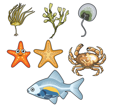 Vector illustrations of Sea creaturesのイラスト素材