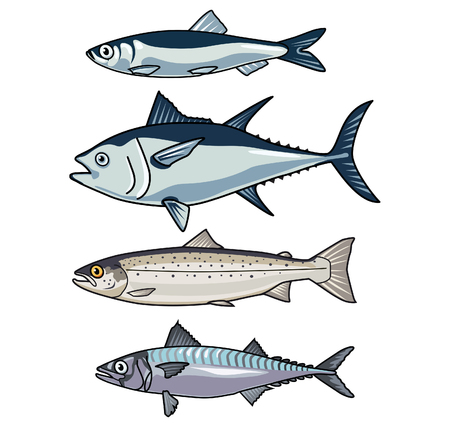 Vector illustrations of Sea creaturesのイラスト素材