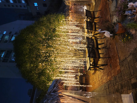 Christmas lights on the streets of Baku, Azerbaijan, at nightの写真素材