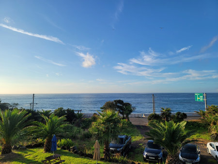 Puerto de la Cruz, Tenerife, Canary Islands, Spainの写真素材