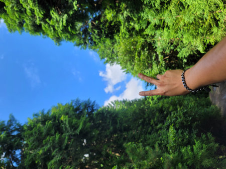 Hands pointing to the sky in the forest with blue sky background