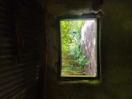 Old window in the wall of an abandoned house in the jungle.