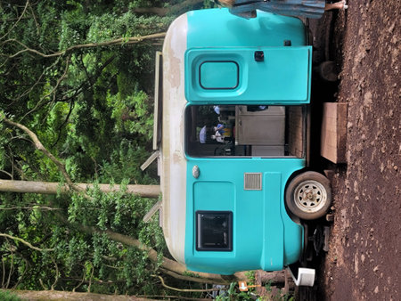 Abandoned cars in the forest. Bad condition of cars.の写真素材