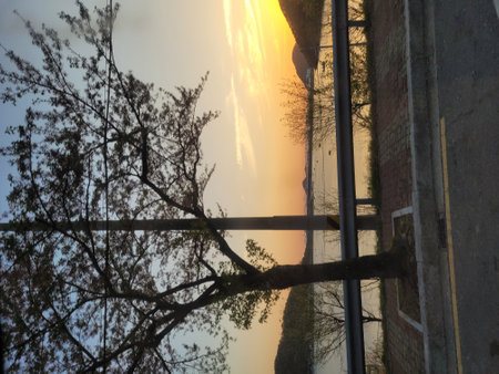 Reflection of the sun in the window of a house in the fogの写真素材