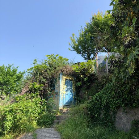 Abandoned house in the middle of the jungle, Tbilisi, Georgiaの写真素材
