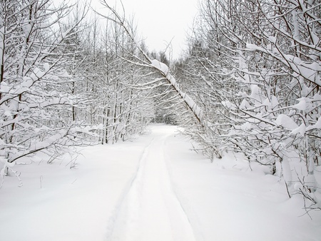 Winter rural road   
