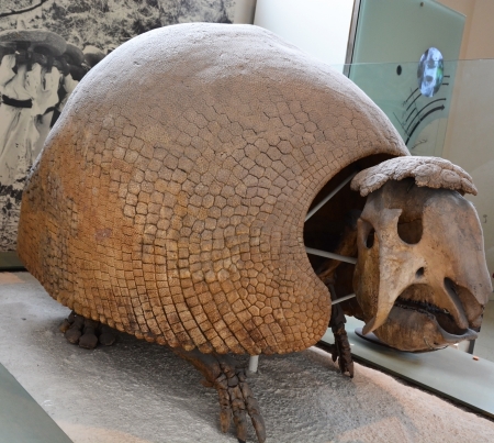 The famous American Museum for National History holds a large collection of prehistoric exhibits from all over the world  Open for public at August 06,2013, New York, USAのeditorial素材