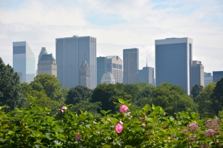 Manhattan skyline behind Central Park, New York Cityの写真素材