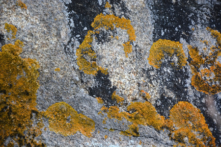 Stone backgroundの写真素材