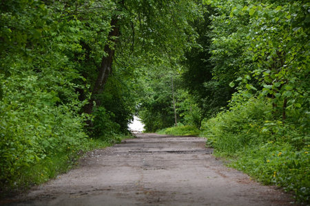 Country road with trees along