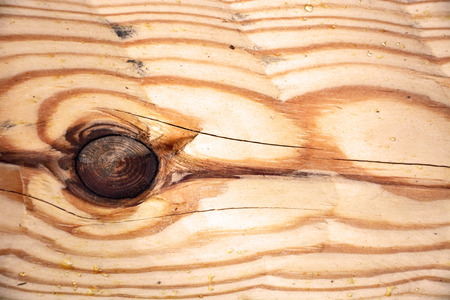 Wooden Background with knot, Close up viewの写真素材