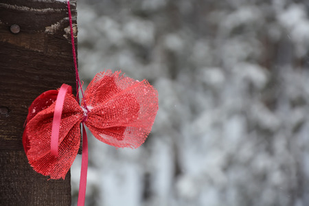 Bow on the fence. Closeup view, winter seasonの写真素材