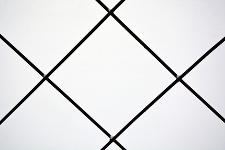 Metal grid. Picture can be used as a backgroundの写真素材