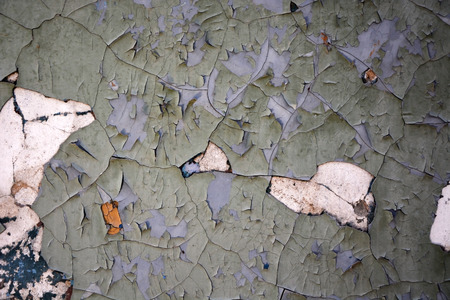 Background, texture of the old rustic wall