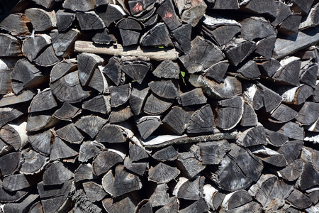 Firewood texture. Picture can be used as a background