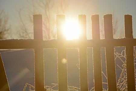 Sun, old wooden fence, winter forest in Russian backwoodsの写真素材