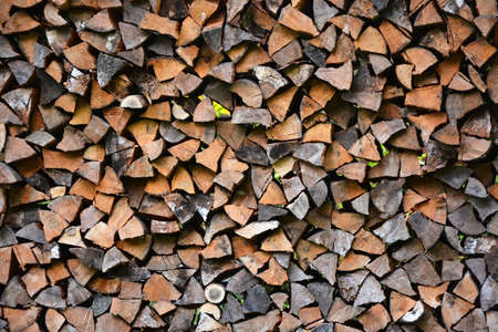 Woodcut from a old oak treeの写真素材