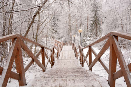 Wooden stairs to the frozen forest near Kivach waterfall, Karelia Republicの写真素材