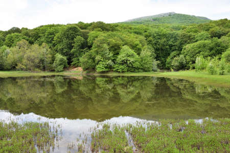 Scenic view of the Kutuzovskoe lake, Crimeaの写真素材