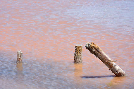 Pink Salt Lake in Crimea-Sasyk-Sivashの写真素材