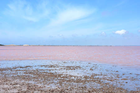 Pink Salt Lake in Crimea-Sasyk-Sivash