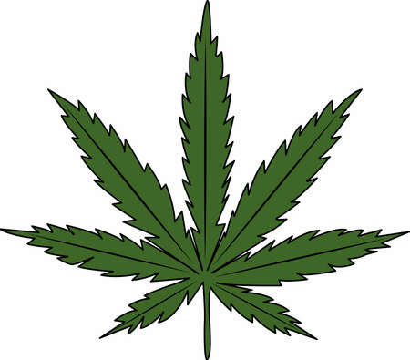leaf cannabis, vector, marihuana, narcoticのイラスト素材