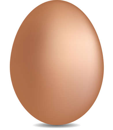 chicken egg vector illustration isolated on white backgroundのイラスト素材
