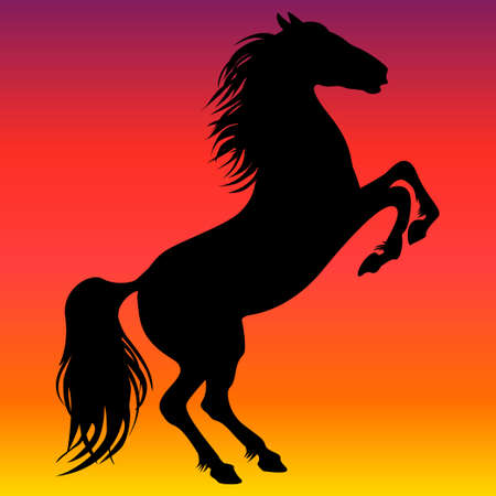 Silhouette of an animal, silhouette of a horse, horse. horse outline. Drawing of an animal on a beautiful background.のイラスト素材