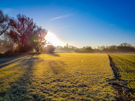 A green field, a blue sky and the sun rising behind a big treeの写真素材