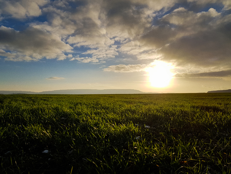 An endless green field in the lower half, the mountain range above, the blue cloudy sky on topの写真素材