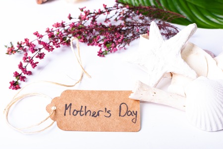 A set up of wellness items, a bamboo mat, a shell, candles, a branch, wood, a starfishの写真素材