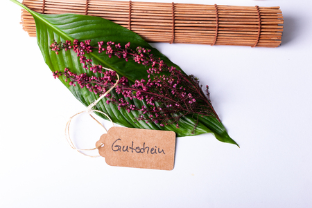 A set up of wellness items, a bamboo mat, a shell, candles, a branch, wood, a starfishの写真素材