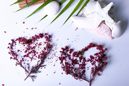 Two hearts made of colorful branches on white backgroundの写真素材