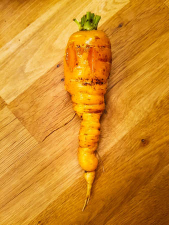 One homegrown carrot laying on a wooden surface