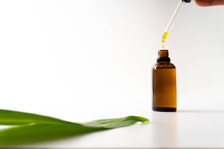 CBD oil or any other oil dropping into a small bottle next to a green leaf - white background