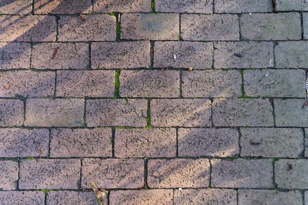Close up of cobblestones with light and shadow - top viewの写真素材