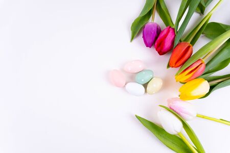 Colorful tulips laying in a circle easter eggs on white background with copy spaceの写真素材