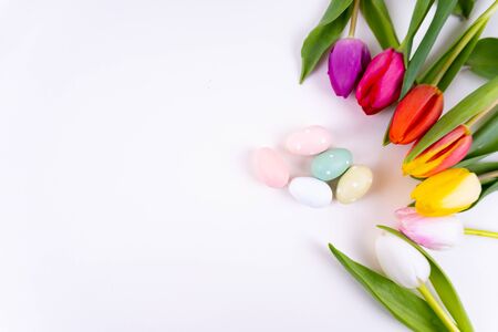Colorful tulips laying in a circle easter eggs on white background with copy spaceの写真素材