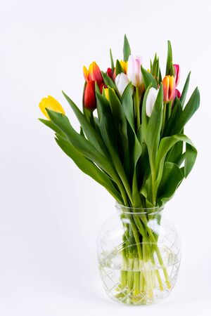 A bunch of colorful tulips in a vase on white backgroundの写真素材