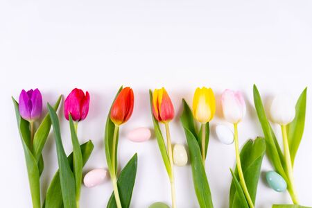 Colorful tulips laying in a row with easter eggs on white background with copy spaceの写真素材