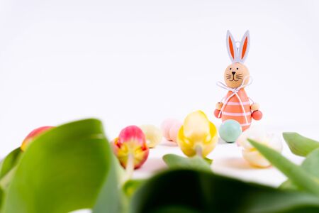 Colorful tulips laying in a row with easter eggs and a easter bunny on white background with copy...
