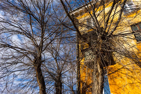 bare branches of trees in autumn and part of a yellow large old house against the blue sky.